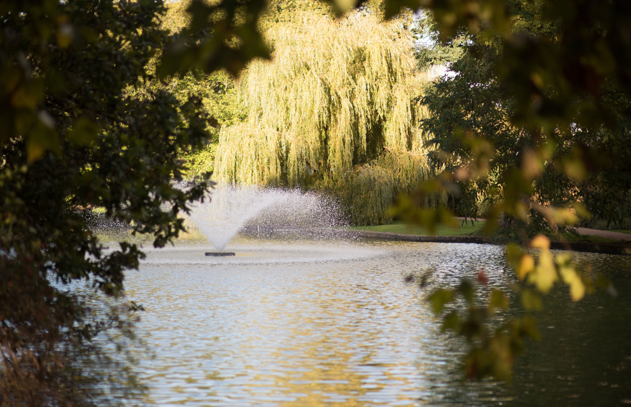 LOCAL ROAD RESTRICTIONS